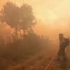 Incendies : l'Europe du Sud face à des flammes dévastatrices