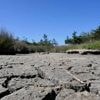 Le réchauffement moyen pourrait très probablement dépasser 1,5 °C entre 2025 et 2029, alerte l’Onu