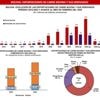 En 2024, el volumen de exportaciones de carne bovina creció en 41%