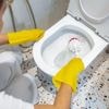 Hygienische Reinigung: So bleibt Ihre Klobürste sauber