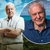The one food Sir David Attenborough cut out which could help him 'live past 100' - after admitting he is 'nearing the end of his life' in powerful statement