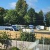 Travellers stage landgrab in Surrey millionaire's village: Illegal site appears next to golf club and nature reserve after group brought in machinery and hacked down hedges overnight