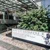 20.000 Euro pro Ausländer: Rechtsanwalt als Edel-Schleuser angeklagt