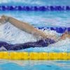 Ook op 50m rugslag nieuw Belgisch record: Roos Vanotterdijk eindigt als elfde in halve finale