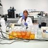 RÉCIT. « On a créé nos propres parfums » : les secrets de fabrication des e-liquides de vapotage