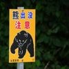 Un ours s’invite une nouvelle fois sur un parcours de golf au Japon, un tournoi interrompu
