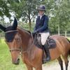 Normandie Horse Show : la grande semaine du cheval commence à Saint-Lô