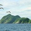 Inside the terrifying island where only soldiers and scientists are allowed to visit