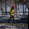 Incendie à Marseille : le feu baisse en intensité mais les lisières sont toujours actives, la circulation des TGV reprend ce matin