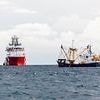Fish for weapons? Yet another EU surrender we don't need to make
