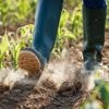 We gaan erg droog de zomer in: dalende waterpeilen en lage grondwaterstanden