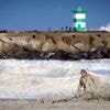 Vijf jaar na ramp nieuw ‘schuimalarm’ langs Noordzeekust: ga niet de zee in op 4 en 5 mei