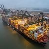Container in Antwerpen staat klaar met onderdelen voor defensiebedrijf Israël