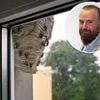 Wasps making our lives a misery: How can we get our neighbour to tackle a nest while we try to sell our home?