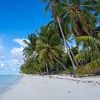 Klinik 1500 Kilometer entfernt: Hai attackiert Kind in Französisch-Polynesien
