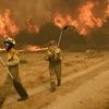 Incendies en Espagne : près de 3 500 militaires en renfort pour combattre les flammes