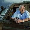 David Attenborough fans gush over 'stunning' new 'Parenthood' series which sees 99-year-old naturalist explore the lives of animal parents