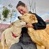 Inside the 'dark side' of tourist destination where a British woman was forced to pay thousands to rescue animals from 'death camp for dogs'