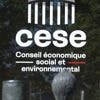 Cese : à quoi sert le Conseil économique, social et environnemental, dans le viseur d'un rapport parlementaire ?