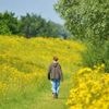Vanaf woensdag minder warm, maar volgend weekend stijgt de temperatuur alweer