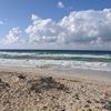 Six students drown and 21 hospitalised after swimming on beach school trip
