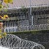 Probation Service facing shortfall of up to 10,000 staff managing offenders released into the community less than 12 months after Labour launched early release scheme