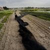 Zitten de boeren straks weer op droog zaad? ‘Onze waterbuffer van vorig jaar zijn we stilaan kwijt’