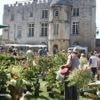 Fête des jardins, journées de la rose, plantes sauvages… Six idées de sorties en juillet
