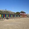 Furious locals demand action after their beautiful beach is 'taken over by gay nudist men having sex in public'