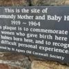 Plaque unveiled as reminder of decades of forced apoptions