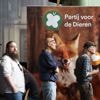 Kleine partijen zoals de onze, Vrede voor Dieren, zijn het probleem niet