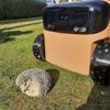 Slimme robotmaaier wordt gestolen uit tuin in Oostende, maar zet zélf politie op juiste spoor: “En toen nam hij een foto”