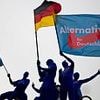 German spy agency designates AfD as 'right-wing extremist' group over 'racist comments' and 'disregard of human dignity' - after opposition party came second in recent elections