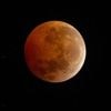 Orientation, horaire, ombre de la Terre... Ce qu'il faut savoir sur l'éclipse lunaire partiellement visible depuis la France dimanche