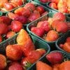 Aardbeienteelt verdubbelt naar 86 miljoen kilo, steeds meer fruit uit kas