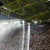 Polizei will Einsatzgebühren: EM-Stadionkletterer klagt gegen 12.000 Euro-Rechnung