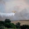 An uncontrolled wildfire sends a cloud of smoke over Spain's capital