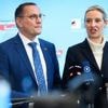 Auch Weidel wird zitiert: Auszug aus dem Verfassungsschutzgutachten zur AfD geleakt