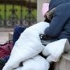 Rise in disabled people facing homelessness in England