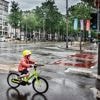 Waarom de autogordel verplicht is en de fietshelm (nog) niet: dit zegt de wetenschap