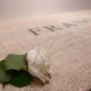 First images released of Pope Francis' tomb adorned with single rose