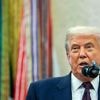 Kurz vor Ukraine-Gesprächen: Trump nennt Merz & Co. "großartige Menschen"