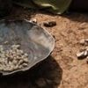 More than a dozen children die because of food shortages in Sudan camp - medics