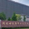 REPORTAGE. "Tout est livré automatiquement à la bouche des animaux" : en Chine, de plus en plus de porcs sont élevés dans des tours d’immeuble