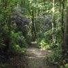 Cinq lieux incontournables à découvrir autour du bois du Breuil, en Normandie