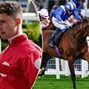 Horse dies and jockey is hospitalised after rough fall at Ascot as stewards postpone enquiry into tragic incident