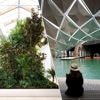 Belgische ‘airco van planten’ blikvanger op grootste architectuurtentoonstelling ter wereld in Venetië