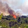 Hérault : un adolescent de 16 ans soupçonné d'être à l'origine d'un départ de feu a été interpellé et placé en garde à vue