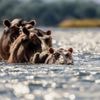 Licht, Leben und Linien: Die Bilder der Woche 32
