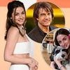 TALK OF THE TOWN: It's Mission: Impawsable as Tom tries to get permit for Ana's dog